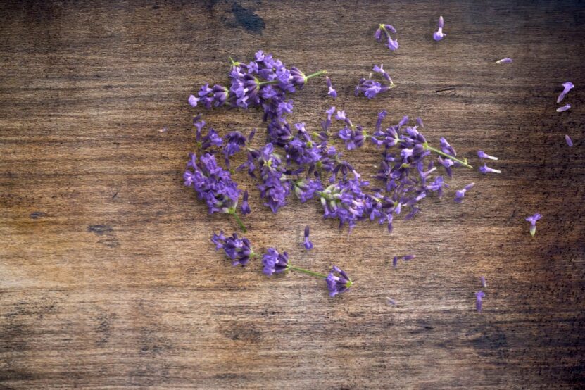 Lavender on table
